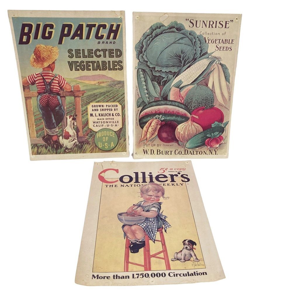 3‎ VTG Wall Poster Big Patch Brand Collier's Sunrise Veggie Seeds Dalton NY READ